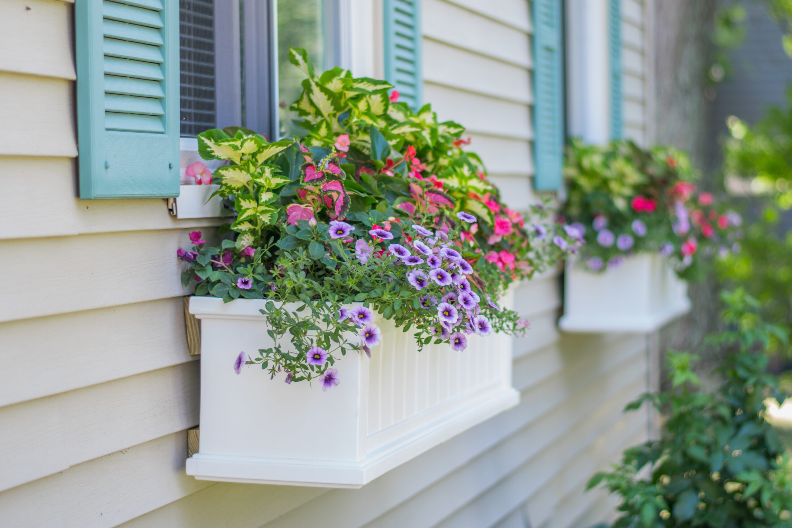 Brighten your home with charming Flower Window Boxes